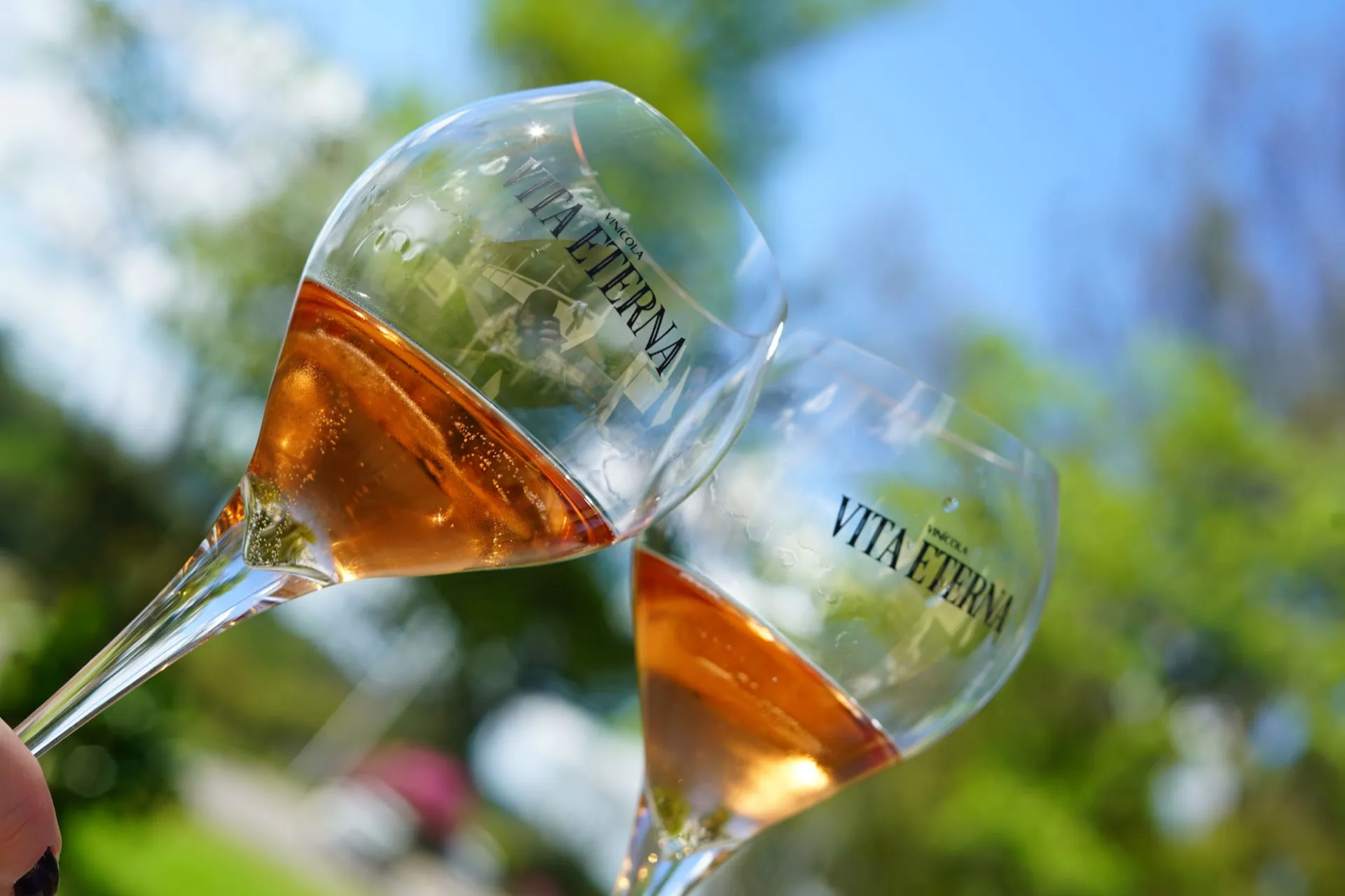 Wine Garden Vita Eterna — brinde com espumantes ao ar livre